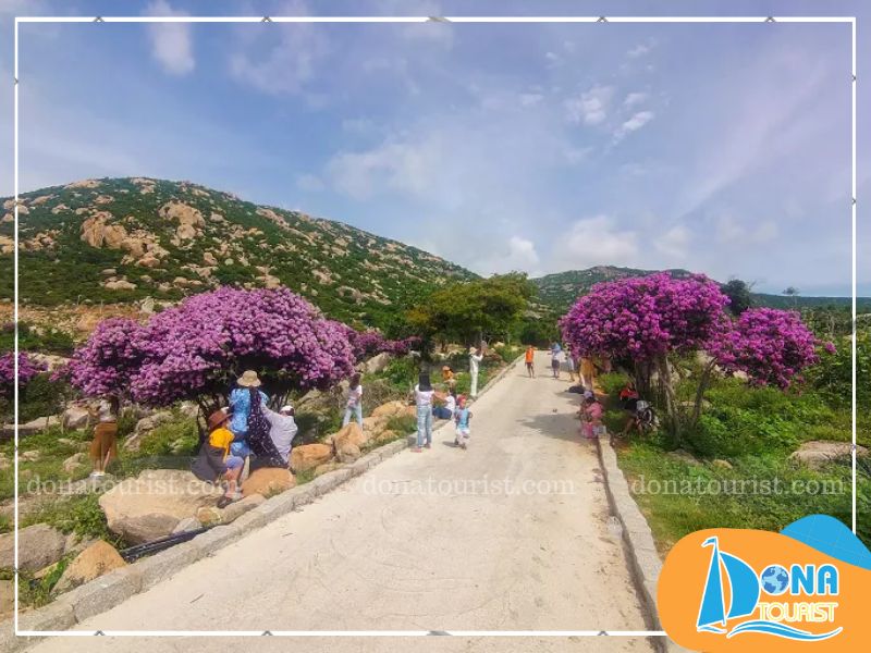 con-duong-hoa-bang-lang-tim.jpg (101 KB)