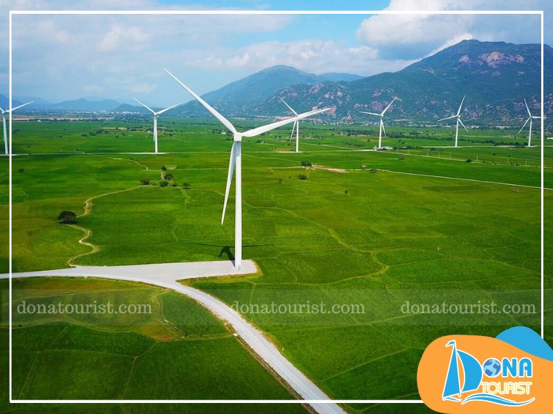 Điện gió Đầm Nại mang vẻ đẹp riêng biệt theo từng thời khắc dien-gio-dam-nai-mua-nao-dep.jpg (95 KB)