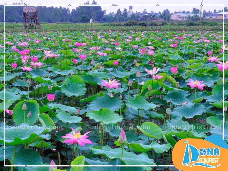 ve-dep-khu-du-lich-sinh-thai-sen-charaih-my-nghiep.jpg (101 KB)