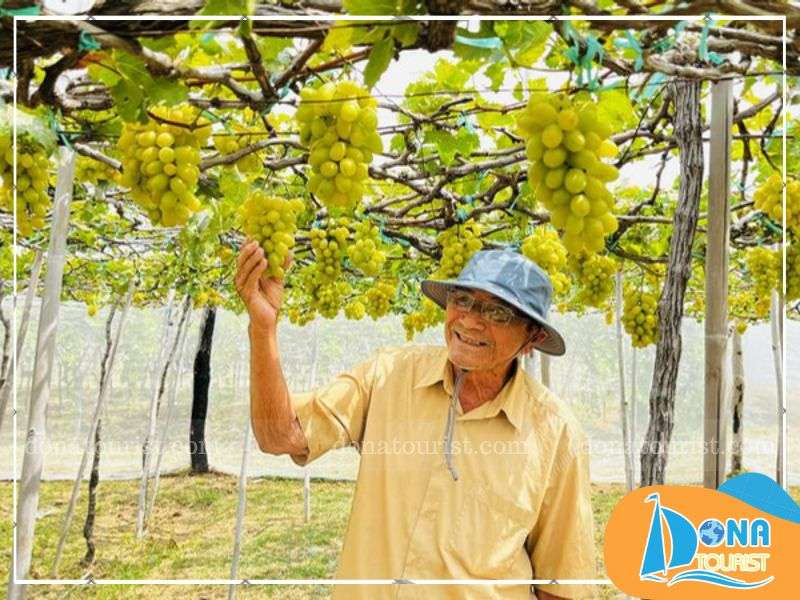 phuong-phap-trong-vuon-nho-ba-moi.jpg (92 KB)