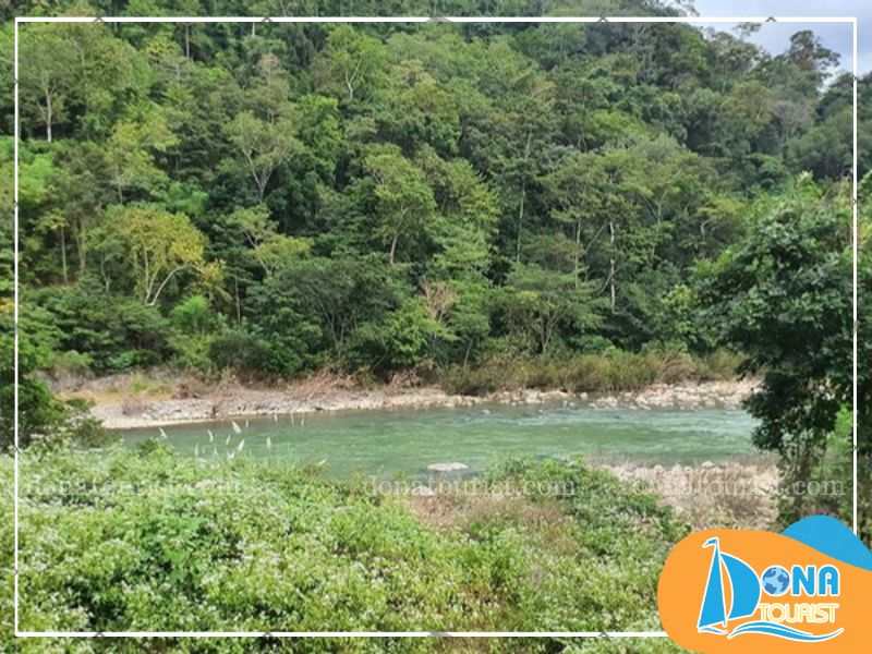 he-sinh-thai-vuon-quoc-gia-phuoc-binh.jpg (80 KB)