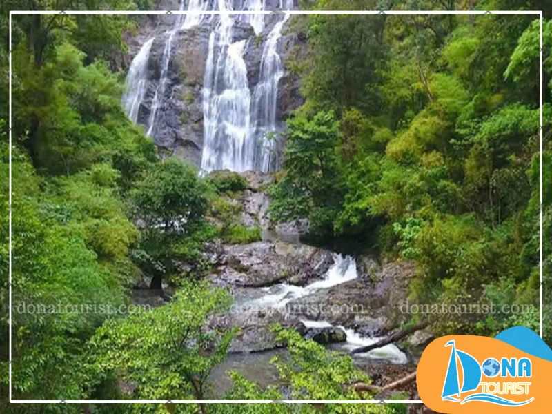 kham-pha-rung-nguyen-sinh-vuon-quoc-gia-phuoc-binh.jpg (78 KB)