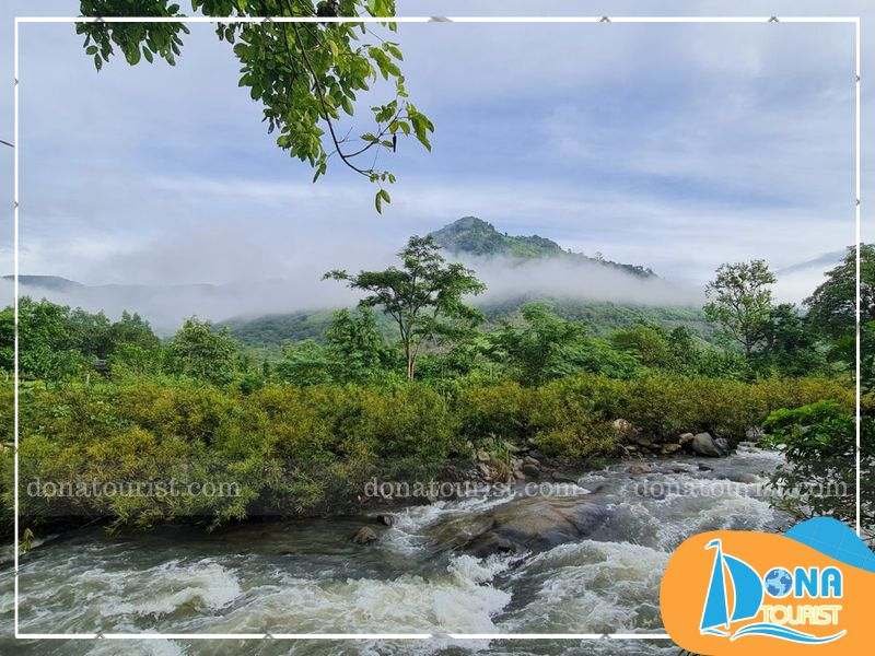 thoi-diem-den-vuon-quoc-gia-phuoc-binh.jpg (96 KB)