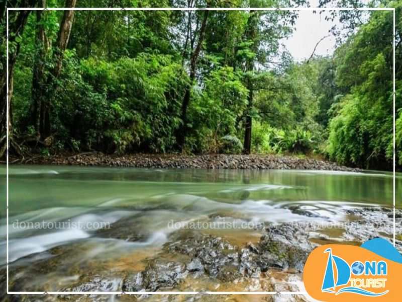 vi-tri-vuon-quoc-gia-phuoc-binh.jpg (78 KB)