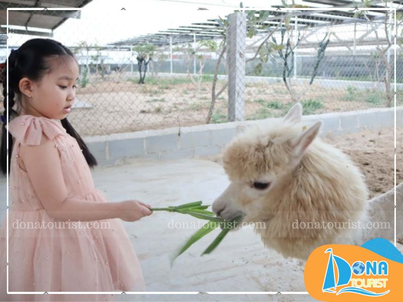 checkin-zoodoo-phan-rang-2.jpg (80 KB)