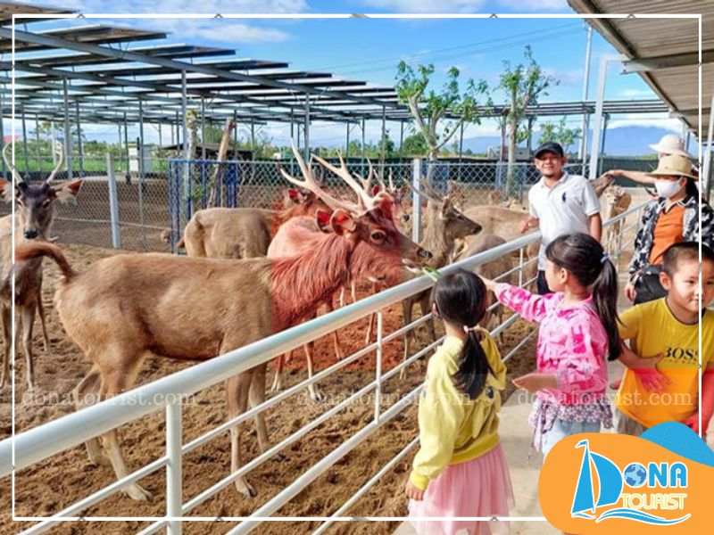 dong-vat-dang-yeu-tai-zoodoo-phan-rang.jpg (82 KB)