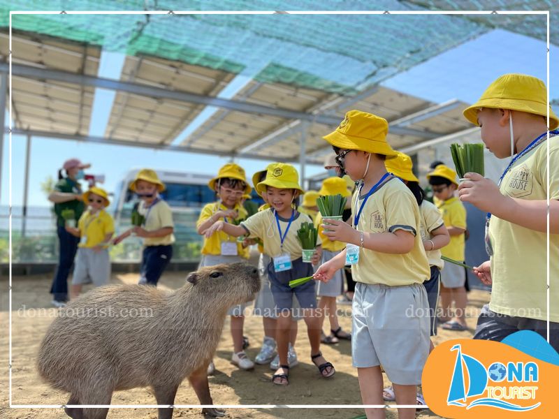 zoodoo-phan-rang-noi-hoc-tap-cho-cac-be.jpg (102 KB)