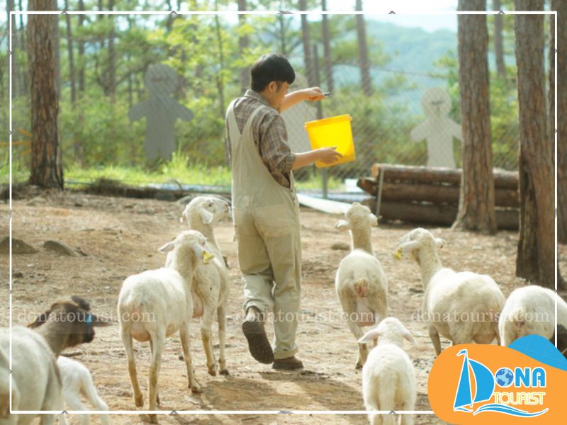 zoodoo-phan-rang-o-dau.jpg (92 KB)