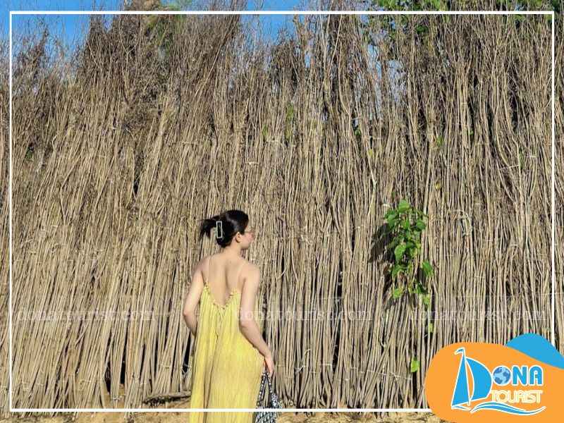 Thời điểm lý tưởng nhất để khám phá cung đường điện gió Chị Nên từ tháng 3 đến tháng 6 con-duong-dien-gio-chi-nen-mua-nao-dep.jpg (98 KB)