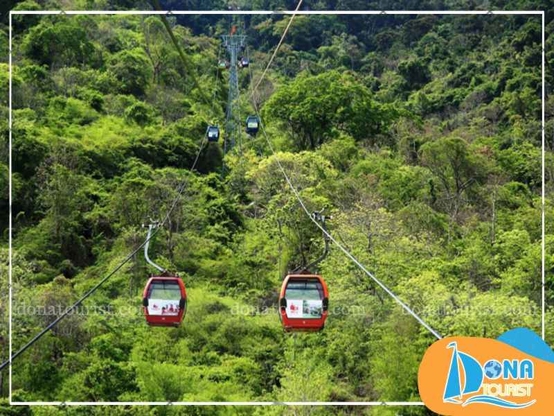 di-cap-treo-den-linh-son-truong-tho.jpg (82 KB)