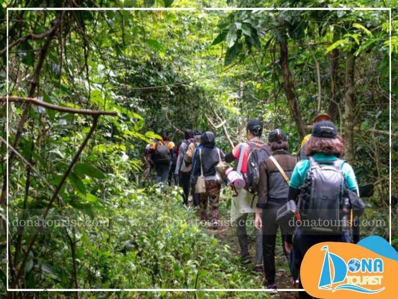 trekking-den-linh-son-truong-tho.jpg (80 KB)