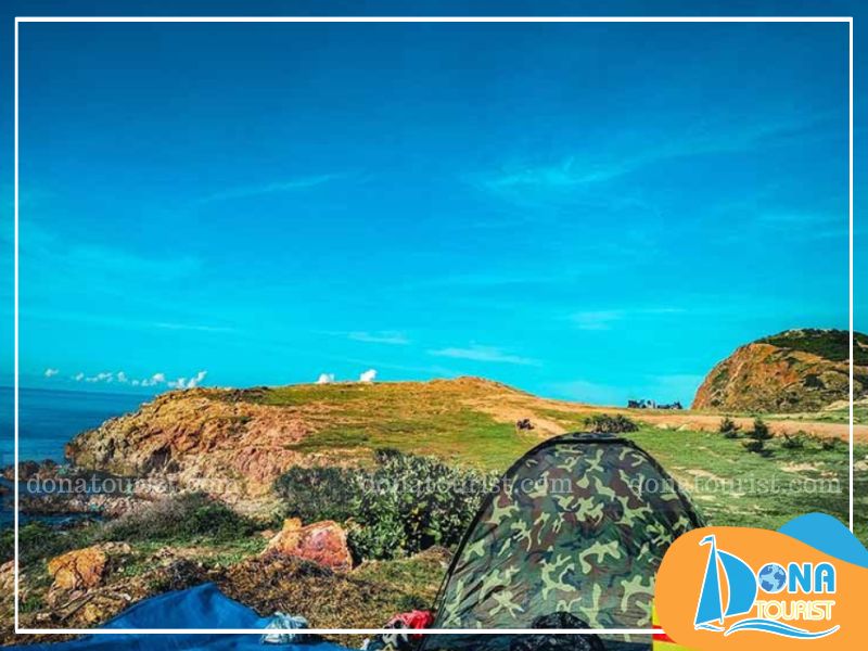cam-trai-tai-mui-yen-binh-thuan.jpg (90 KB)