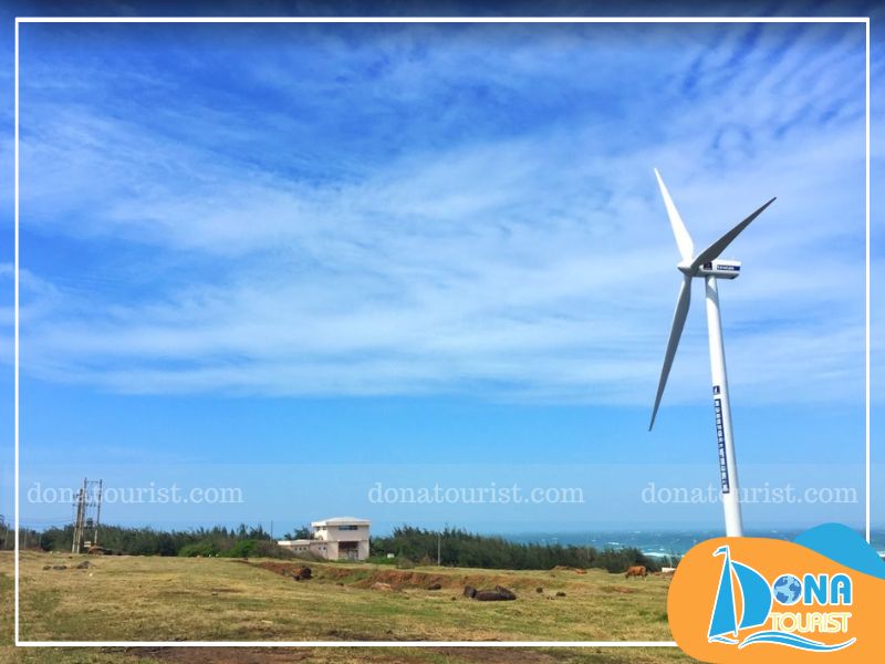 Thời điểm tuyệt vời nhất để check in phong điện Phú Quý vào lúc hoàng hôn và bình minh phong-dien-phu-quy-mua-nao-dep.jpg (67 KB)