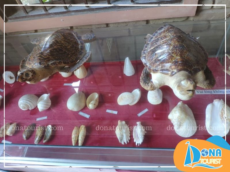 bo-su-tap-bien-rung-bao-tang-coi-nguon-phu-quoc.jpg (83 KB)