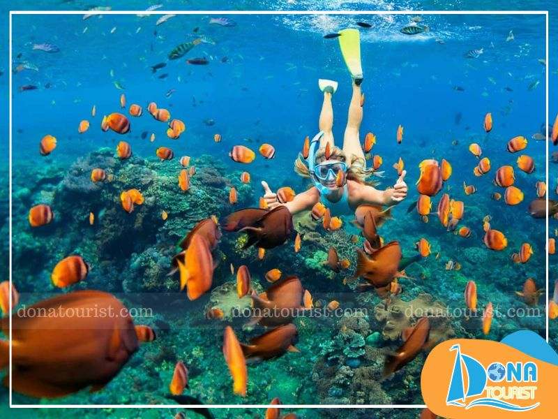 Tour khám phá các hòn đảo và lặn ngắm san hô ở Phú Quốc lich-trinh-du-lich-phu-quoc-3-ngay-2-dem-tu-tuc-2.jpg (88 KB)