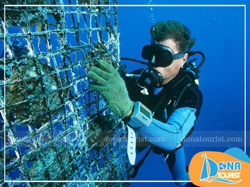 Mô hình nuôi cấy ngọc trai nước mặn mo-hinh-nuoi-ngoc-trai.jpg (85 KB)