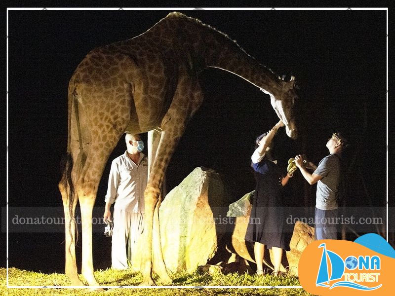 cho-huu-cao-co-an.jpg (116 KB)