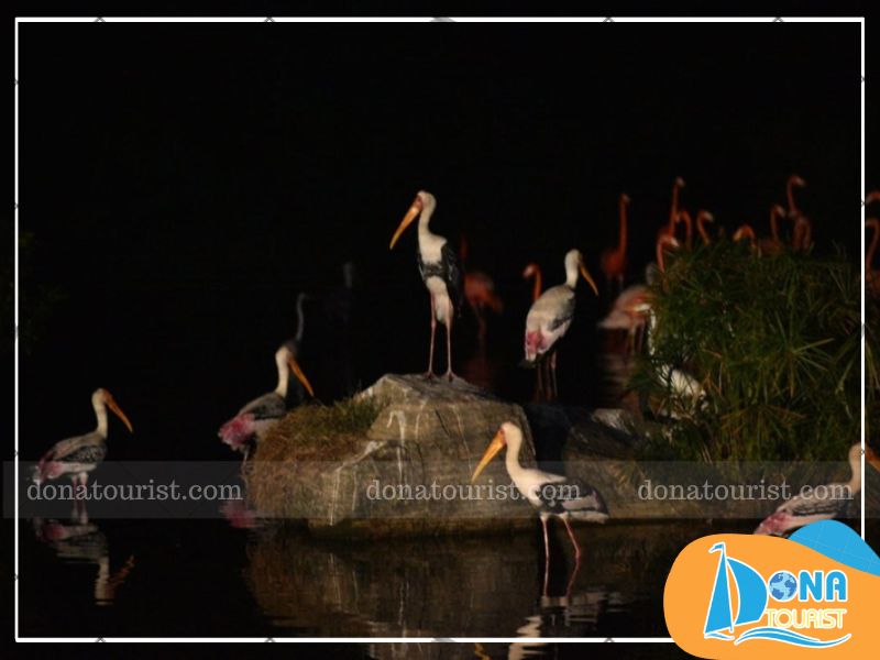 tha-hon-vao-ban-hung-ca-thien-nhien.jpg (60 KB)