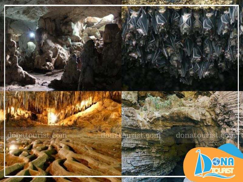 Tham quan hang Dơi cao khoảng 200m, sâu 50m hang-doi-suoi-tranh-phu-quoc.jpg (97 KB)