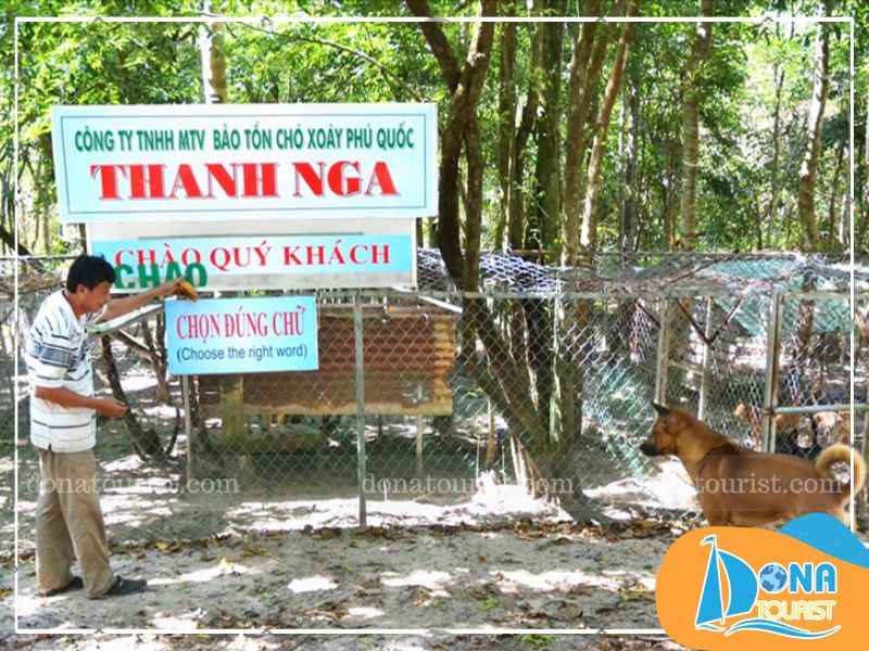 Trung tâm bảo tồn chó xoáy Phú Quốc Thanh Nga ấp Cây Thông Ngoài, Cửa Dương thanh-nga-cu-trung-tam-bao-ton-cho-xoay-phu-quoc.jpg (78 KB)