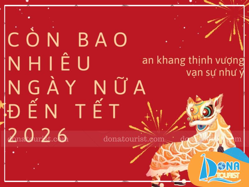 giai-dap-con-bao-nhieu-ngay-nua-den-tet.jpg (70 KB)