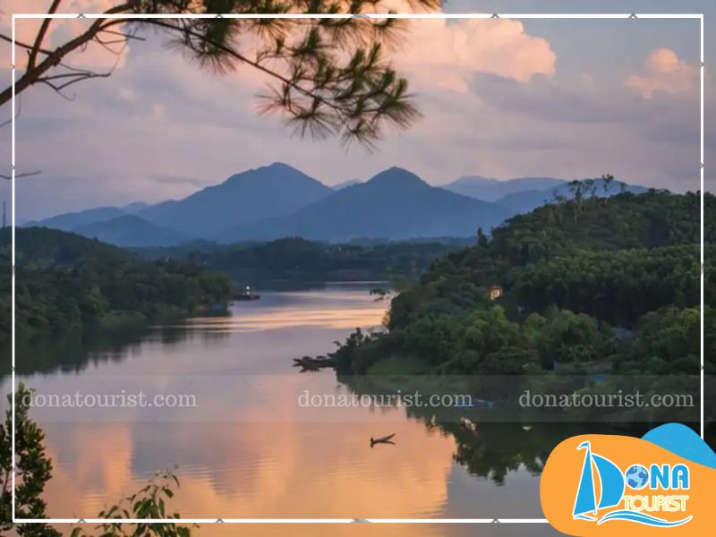 doi-vong-canh.jpg (68 KB)