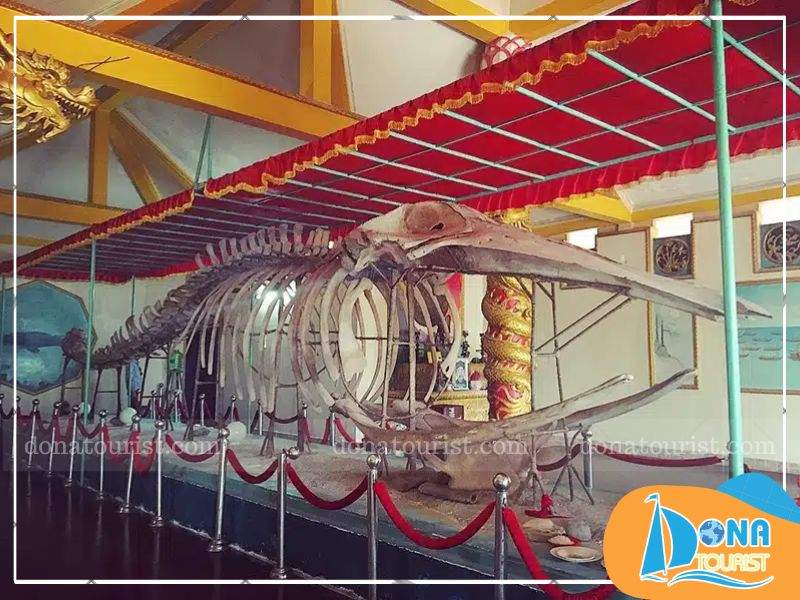 Lăng Cá Ông lưu giữ bộ xương Cá Ông khổng lồ dài khoảng 12m, lang-ca-ong-dinh-than-tam-thang.jpg (93 KB)