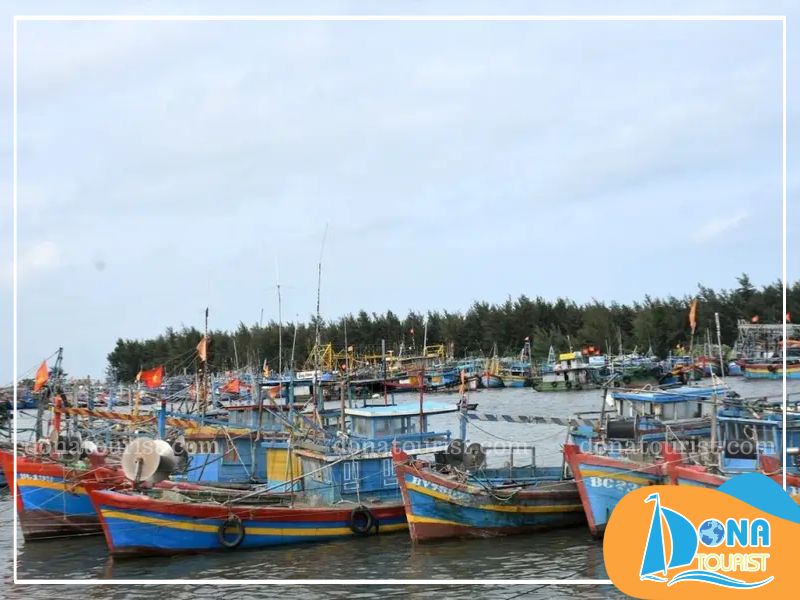 cang-ca-binh-chau.jpg (83 KB)