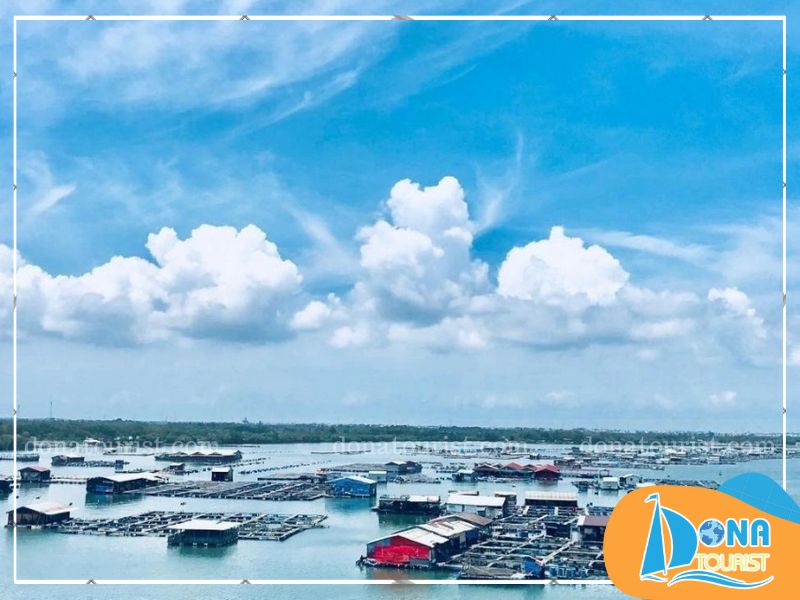 Hạn chế đến làng bè Long Sơn vào những ngày mưa để tránh ảnh hưởng đến trải nghiệm tham quan và thưởng thức ẩm thực ngoài trời luu-y-khi-den-lang-be-long-son.jpg (82 KB)