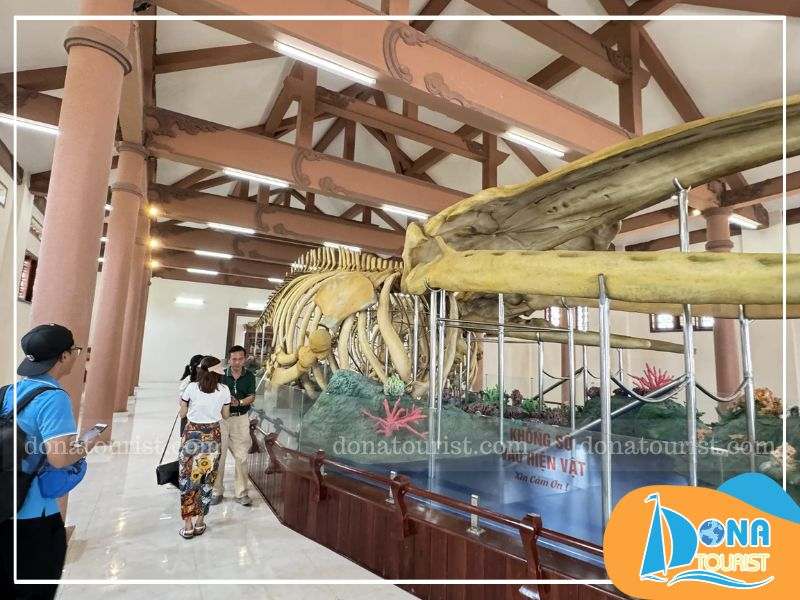 Tham quan Lăng Cá Ông nên mặc trang phục lịch sự, tôn trọng không gian thờ tự luu-y-check-in-lang-ca-ong.jpg (86 KB)