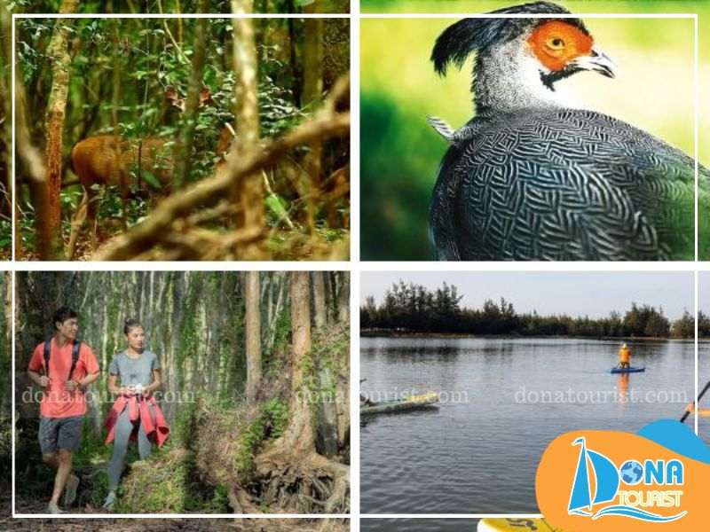 Rừng quốc gia Bình Châu chào đón du khách với vô vàn hoạt động thú vị trai-nghiem-thu-vi-rung-quoc-gia-binh-chau.jpg (79 KB)