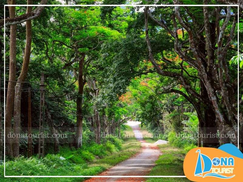 Vẻ đẹp thiên nhiên kỳ ảo của rừng quốc gia biến đổi theo mùa ve-dep-rung-quoc-gia-binh-chau.jpg (103 KB)
