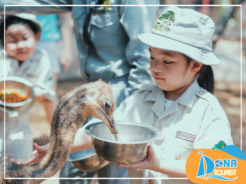 Chương trình chăm sóc động vật Junior Zoo Keeper