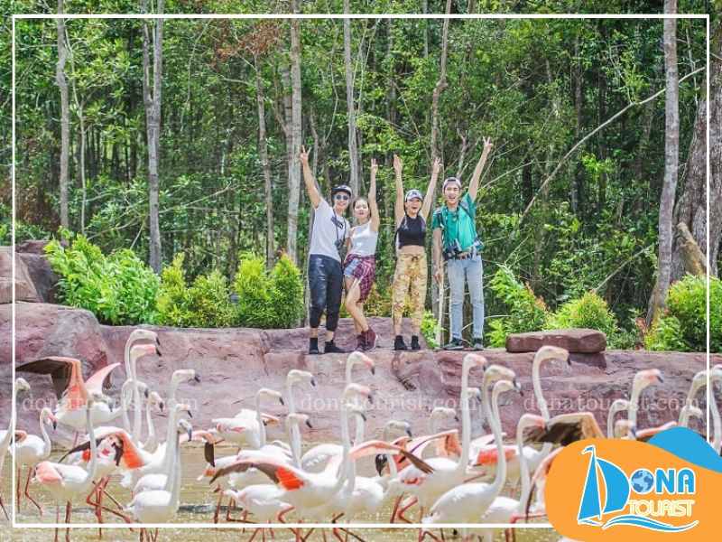 Check in khu vực KidZoo Check in khu vực KidZoo