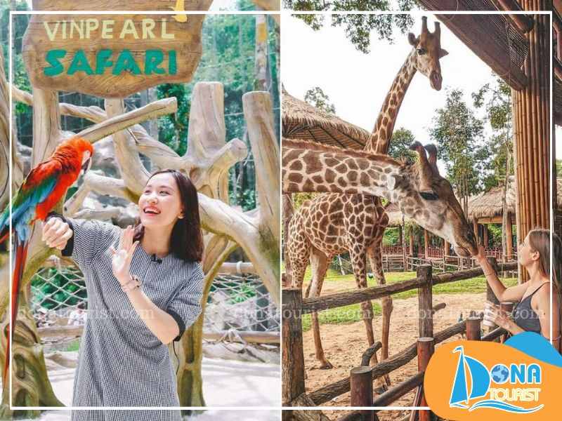 Tự tay cho các loài thú ăn Tự tay cho các loài thú ăn