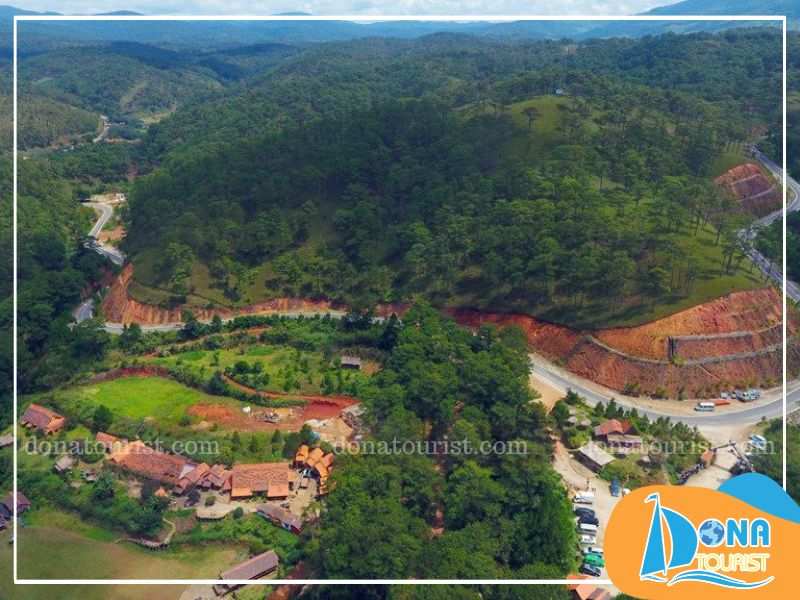 Đường đến làng Cù Lần với khung cảnh tươi đẹp, phủ đầy rừng thông xanh mướt Đường đến làng Cù Lần với khung cảnh tươi đẹp, phủ đầy rừng thông xanh mướt