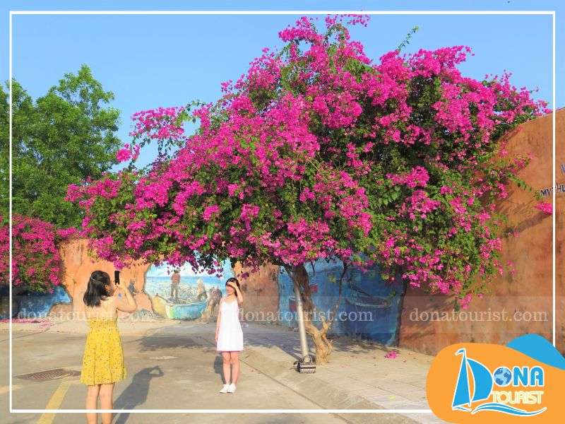 Check in tại giàn hoa giấy hồng tươi, tím nhạt bung nở rực rỡ Check in tại giàn hoa giấy hồng tươi, tím nhạt bung nở rực rỡ