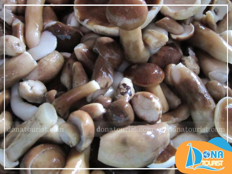 Nấm tràm đặc sản Phú Quốc Nấm tràm đặc sản Phú Quốc