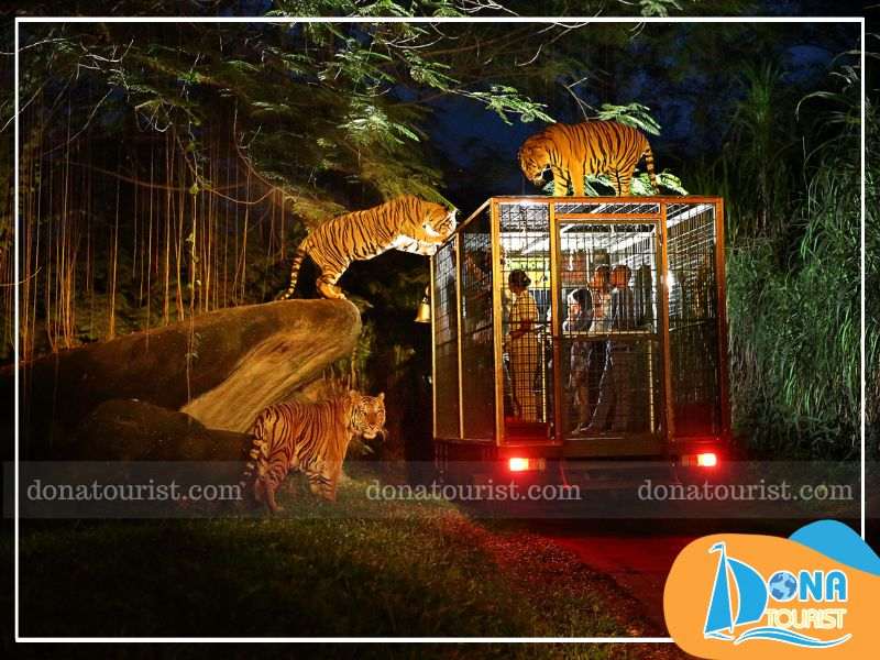 Thiên nhiên hoang dã Night Safari về đêm