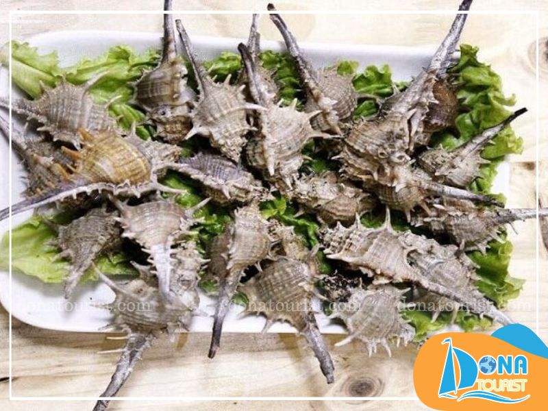 Ốc gai xương rồng dai giòn Ốc gai xương rồng dai giòn