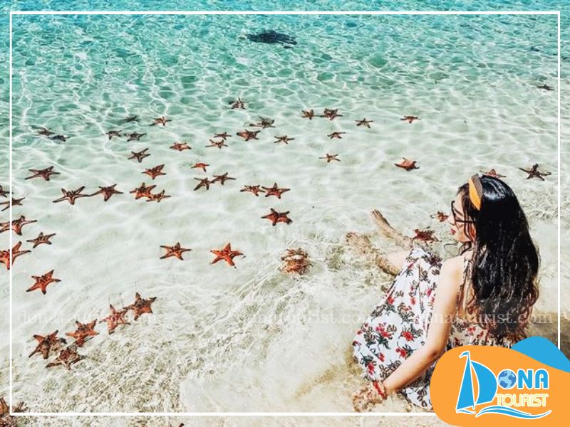 Bãi Sao có hàng ngàn con sao biển lấp lánh Bãi Sao có hàng ngàn con sao biển lấp lánh