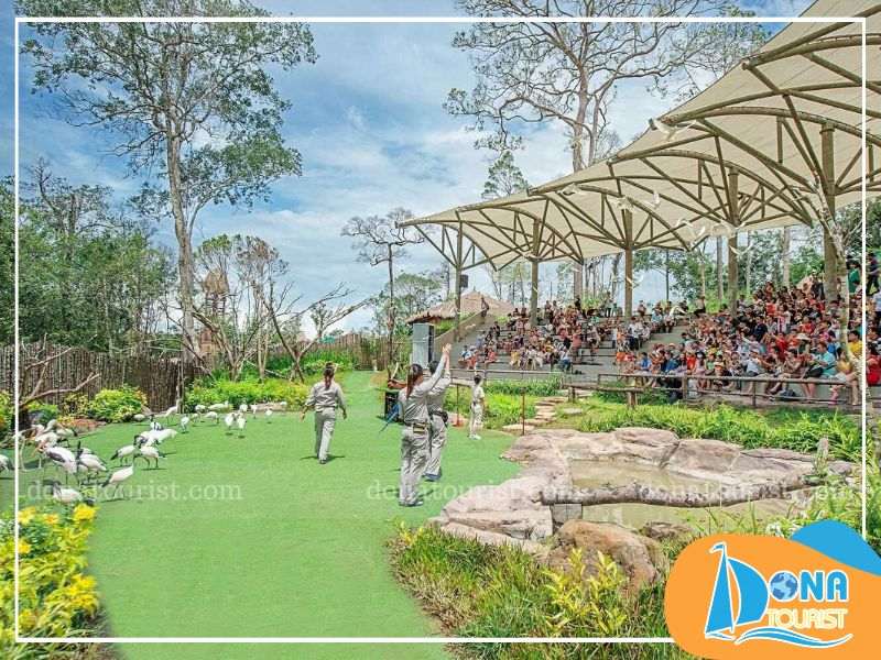 Mãn nhãn với show diễn của các loài thú Mãn nhãn với show diễn của các loài thú