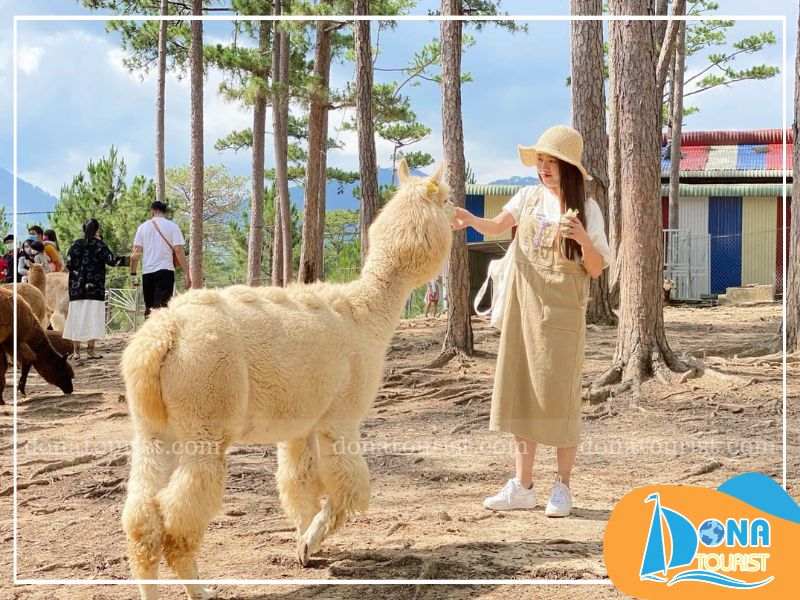 Tham quan thế giới động vật đa dạng tại sở thú Zoo Zoo