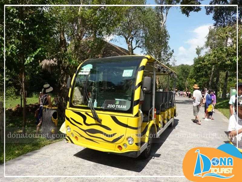 Tham quan vườn thú bằng xe điện Zoo Buggy Tham quan vườn thú bằng xe điện Zoo Buggy
