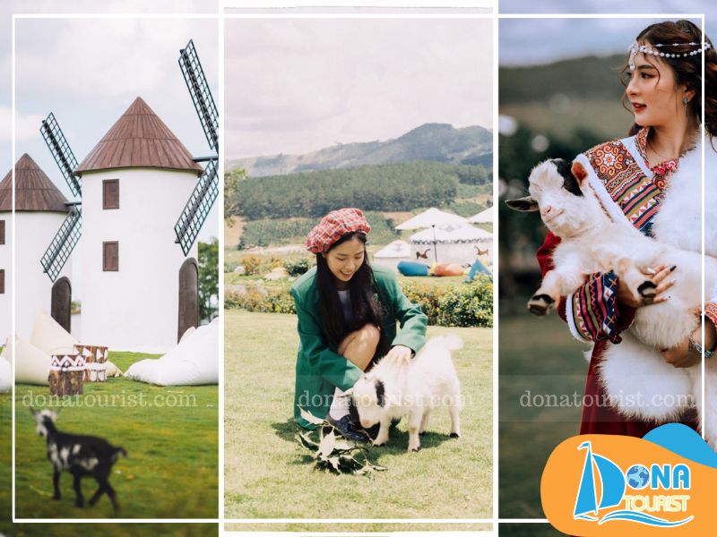 Dona Tourist cung cấp tour du lịch Phan Thiết - Đà Lạt trọn gói Dona Tourist cung cấp tour du lịch Phan Thiết - Đà Lạt trọn gói